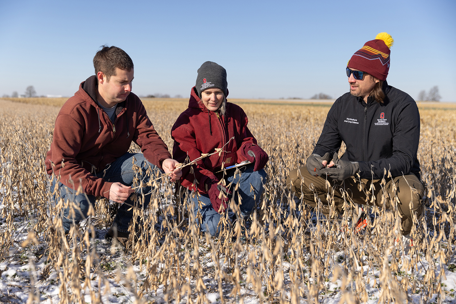 Three people kneel in a soybean field among the brown and withered plants. Two are men, the one in the center is a woman. They focus on a plant held by the man on the right as they discuss on this cold day.
