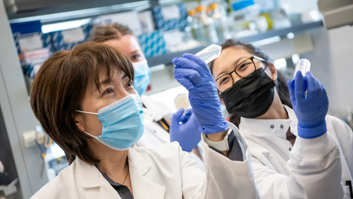 A professor holds up a vial of fluid toward the light as two female students with her do the same. They’re all wearing lab coats and face masks, but the mood is light, as if someone has just made a joke.