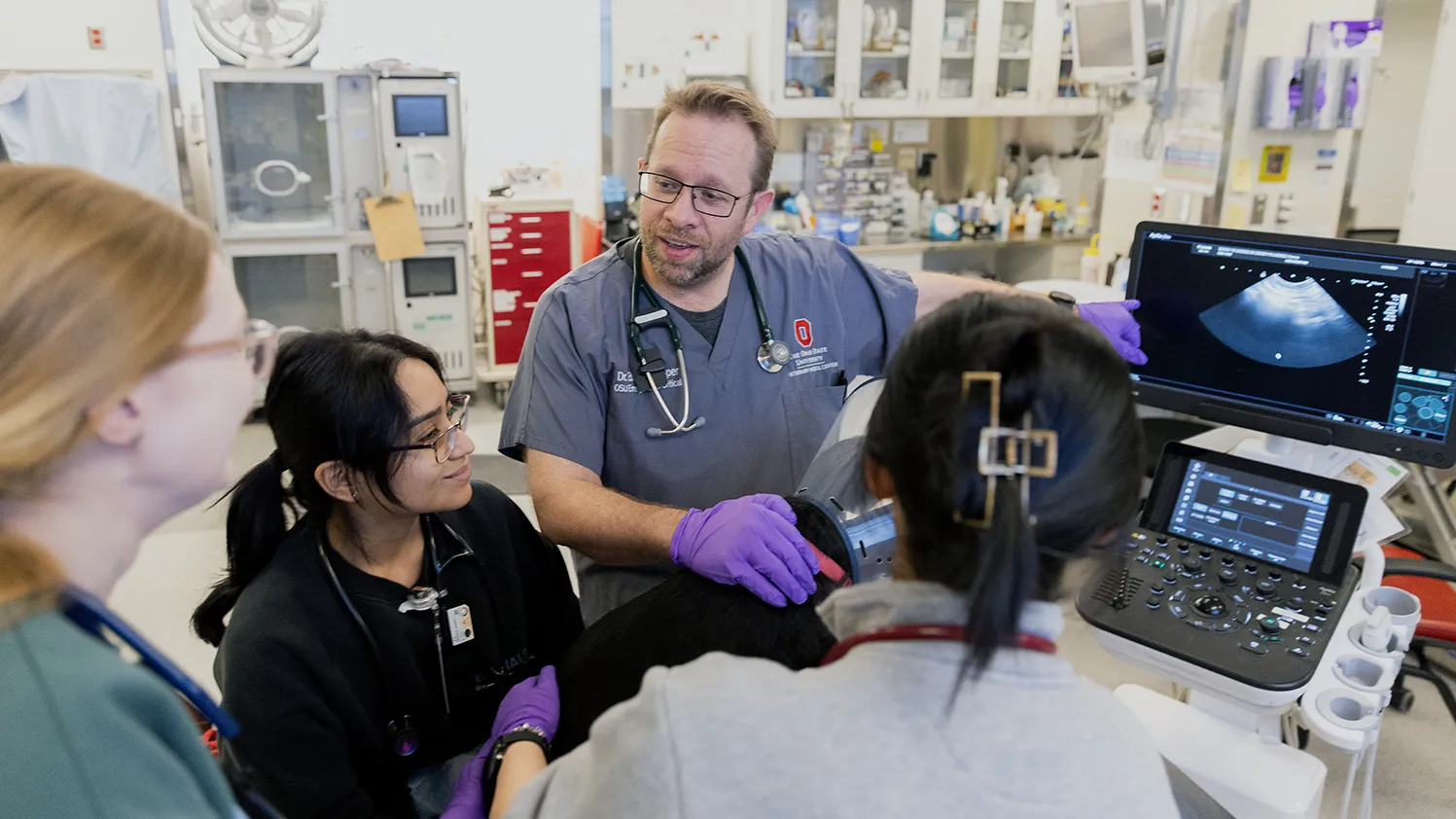 A veterinary medicine teacher talks to students as they examine a dog on an elevated table. The monitors next to them display ultrasound information and images.