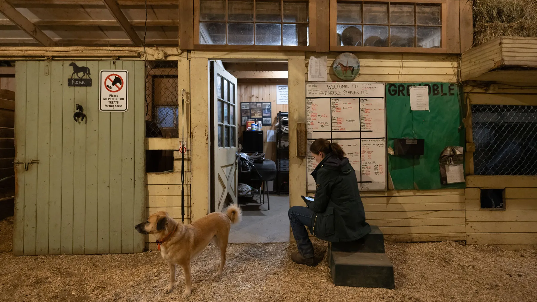 Lloyd sits on a step inside a barn, looking down at a device while a dog stands nearby. The barn interior includes stall doors, posted signs, a whiteboard with notes, and stacked hay.
