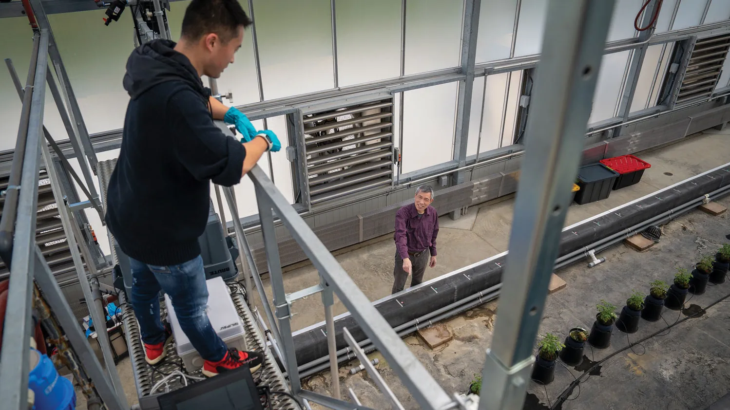 An Asian man stands in scaffolding above the fllor of a greenhouse, as another older man on the floor points to a row of potted plants.