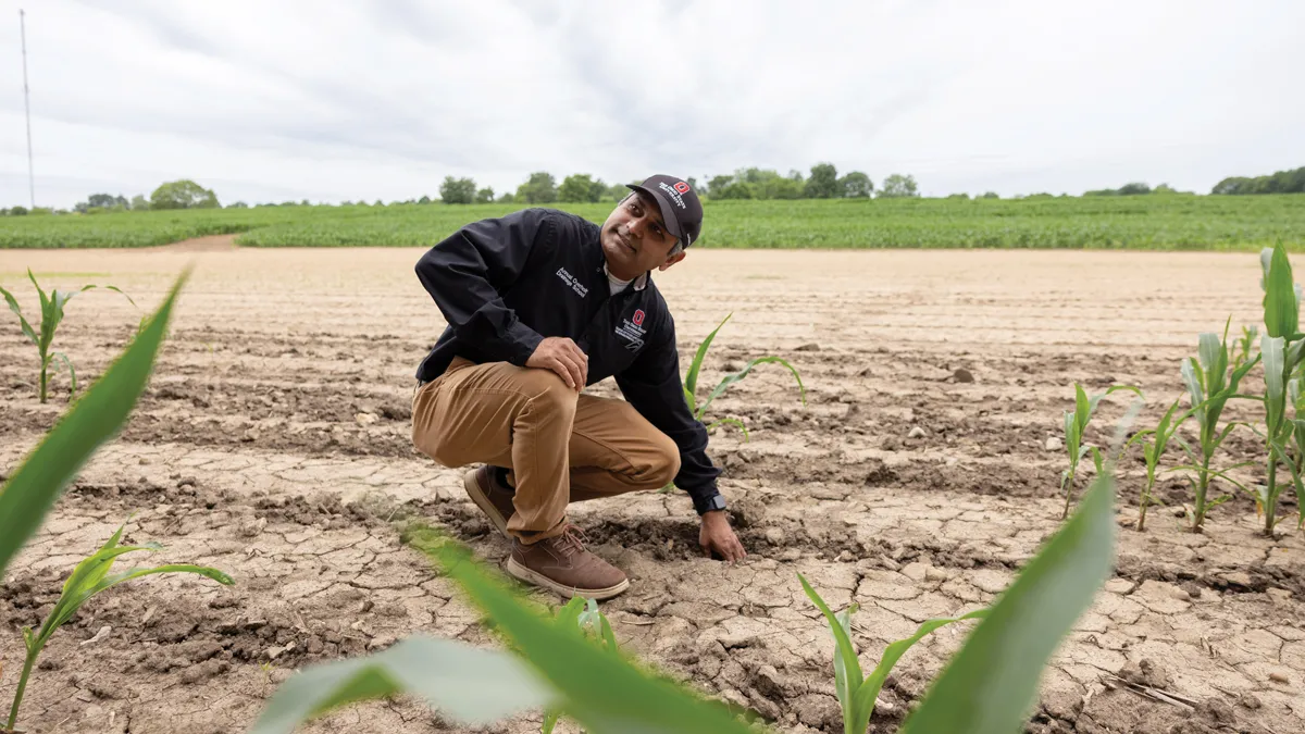 Ohio State Assistant Professor Vinayak Shedekar crouches in a dry corn field in the spring. He feels the soil with one hand and smiles. 