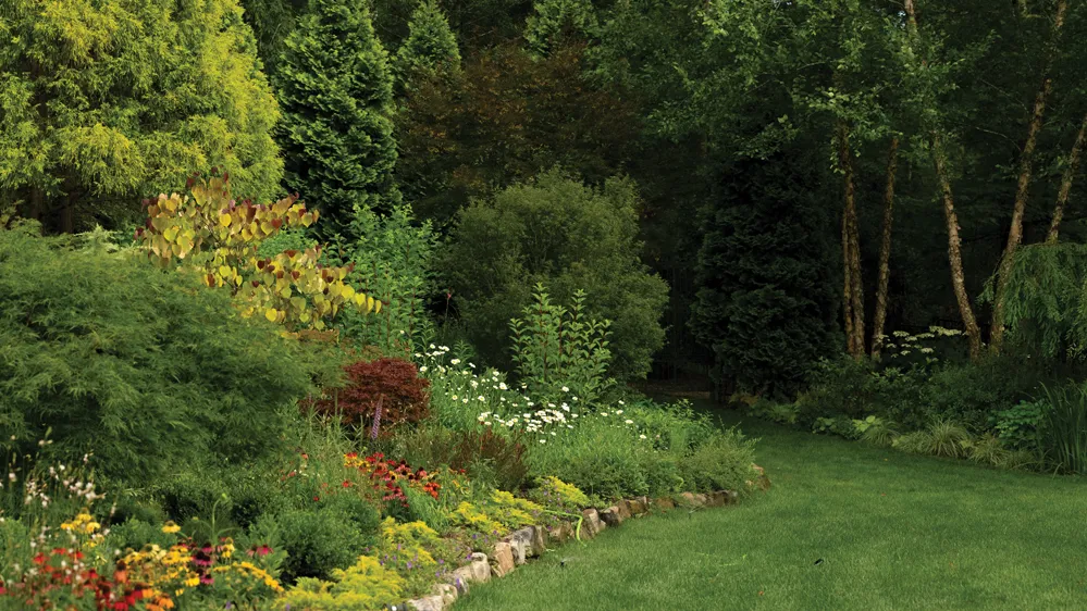 A grass path tapers into the distance, where the garden meets woods