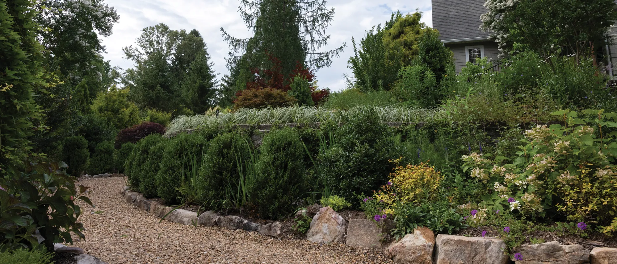 A foliage-lined path winds toward Hutchison's home, which is barely visible because of the number of lush plants