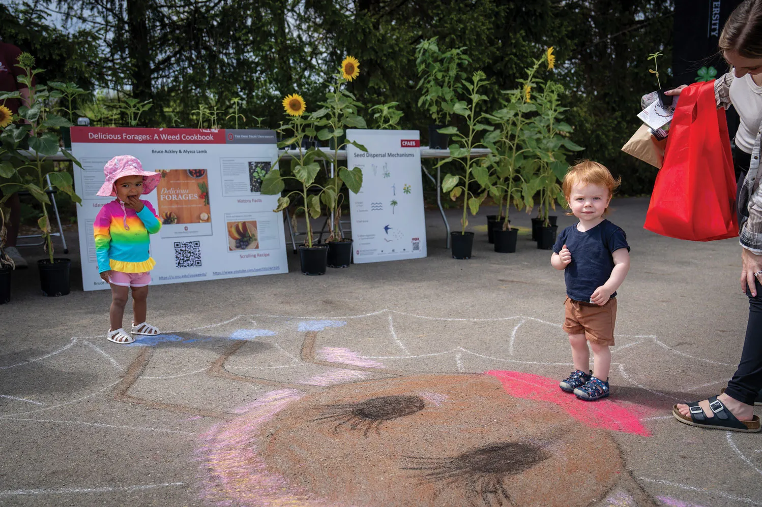 Two toddlers, a boy and a girl, play on a chalk-drawn spider and spider web on asphalt. Their moms are nearby, alongside potted sunflowers and large posters explaining how to cook from foraging and how seeds are dispersed in nature. 
