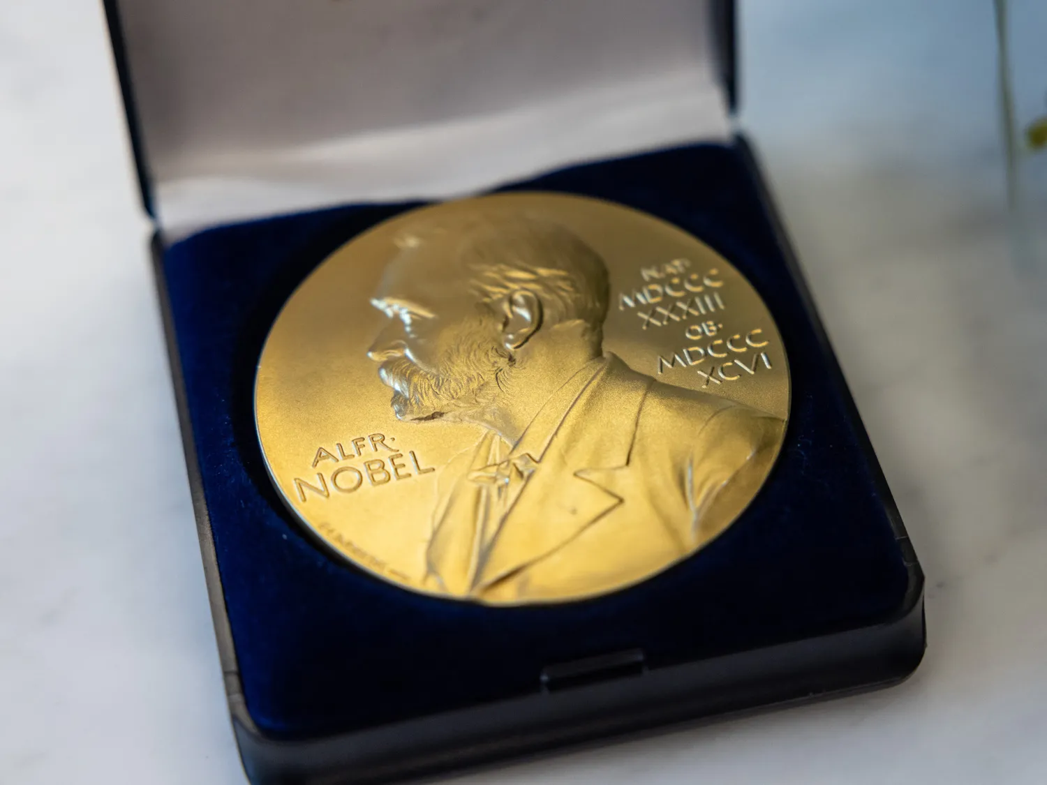 A replica Nobel Prize medal gifted to Ohio State by Pierre Agostini resembles a penny with its raised text and profile of Alfred Nobel, but it is closer to palm-sized. It sits in a velvet-lined, open box that resembles a ring box. 