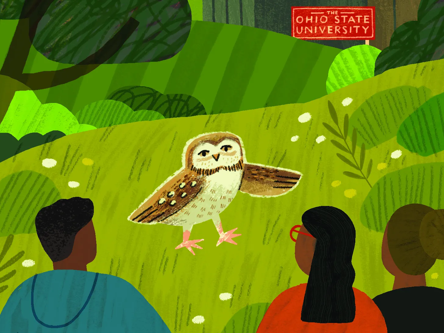 An illustration shows a trio of people watching an injured owl that they will help rehabilitate. In the distance is a sign that says "The Ohio State University"