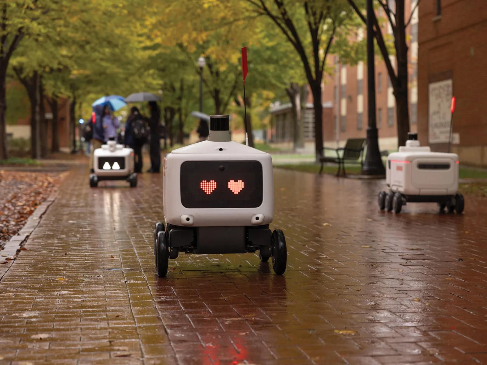 On a wet brick sidewalk, a robot has heart eyes and rolls merrily on its way. The things closest to it are other robots; students in the distance carry umbrellas.