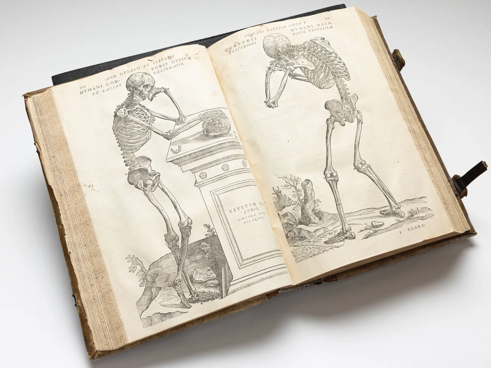 This photo shows a very thick book spread open. An illustration of a skeleton is on each page. On the left, one rests its head on a hand while leaning on what is perhaps a grave stone pedestal. Its other hand rests on a skull. On the right, the skeleton is seen from behind with it's arms and hands at its head, as if rubbing its eyes.